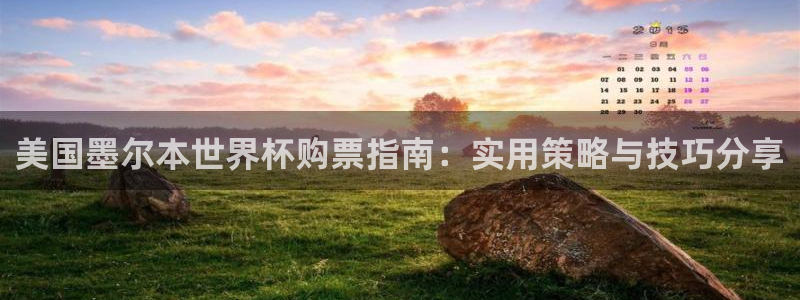 美国墨尔本世界杯购票指南：实用策略与技巧分享