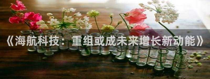 《海航科技：重组或成未来增长新动能》