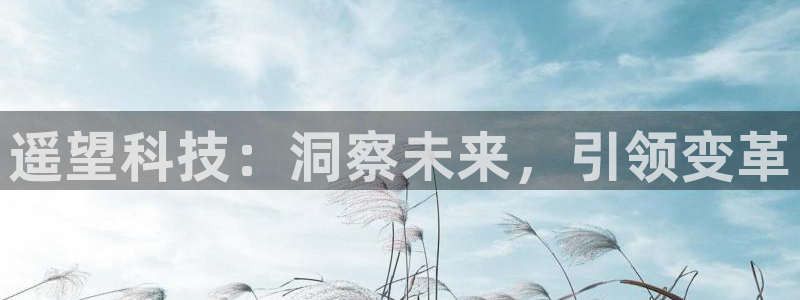 遥望科技：洞察未来，引领变革