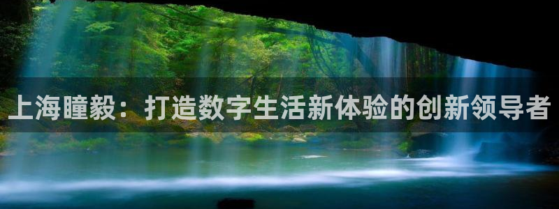 上海瞳毅：打造数字生活新体验的创新领导者