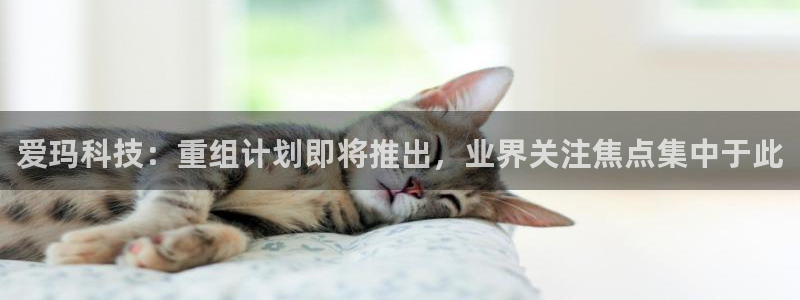 爱玛科技：重组计划即将推出，业界关注焦点集中于此