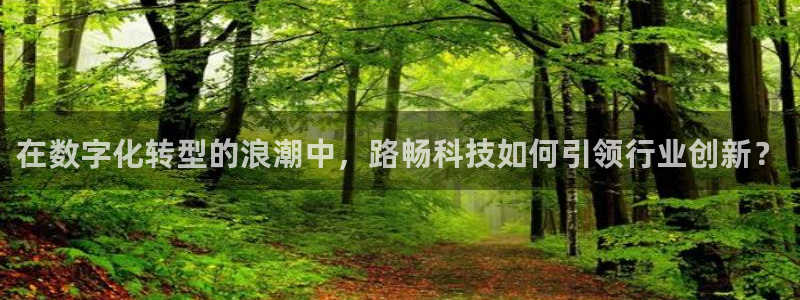 在数字化转型的浪潮中，路畅科技如何引领行业创新？